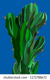 Flat cactus on the blue