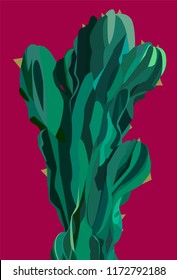 Flat cactus on the red background