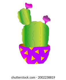 Cactus planos en ollas Vector con varios tipos 3