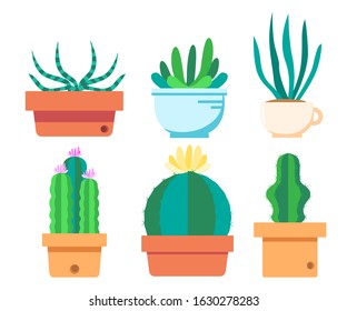 Flat Cactus Succulent Plant Vector Set