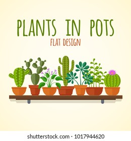 Flat cactuses and home plantas vector concept. Plant cactus in pot, nature interior flower illustration