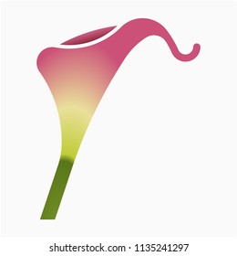 Flat calla lily flower pixel perfect vector icon