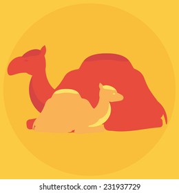 Flat camel family