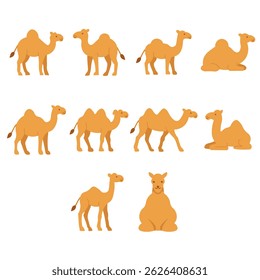 Flat Cartoon Camel Icon Set – 10 Unique Desert Animal Illustrations for Eid al-Adha, Hajj, Safari, and Islamic Themes
