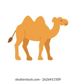 Ilustração plana do camelo do desenho animado - Vetor animal do deserto bonito para o tema Eid al-Adha e Safari