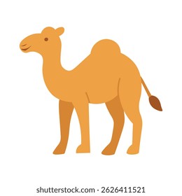 Ilustração plana do camelo do desenho animado - Vetor animal do deserto bonito para o tema Eid al-Adha e Safari