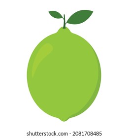 Flat Cartoon cute green lime icon vector clipart illustration animation image design for kids and children books for learning fruits and alphabet