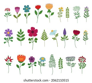 Flat cartoon flower set. Colorful floral collection. Different  flowers isolated n white background. Blooming flowers and leaves. Spring botanical clip art. Color wildflowers bloom.