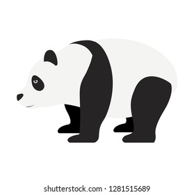Flat cartoon giant panda vector illustration isolated on white eps 10