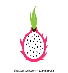 Flat cartoon hand drawn dragon fruit pitahaya pitaya isolated on white background 