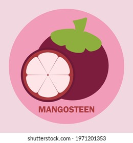 Flat cartoon magosteen vector png for icon logo and clipart in cute background fruits