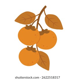 Flat cartoon persimmons on a branch with autumn leaves. Seasonal fruit illustration for harvest design.