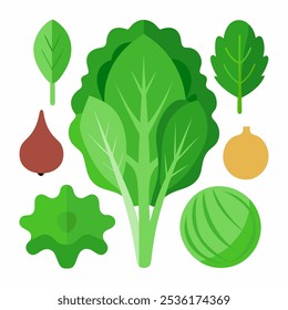 Vegetales planos de la ensalada de la historieta, lechugas y comida verde de la hoja, iconos aislados del vector. Ensalada de lechugas de col rizada, espinacas o repollo chino, rúcula, achicoria o berro y ensalada de acelgas o de radicchio lett