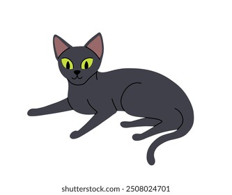 Flat cartoon set of Black cats in various poses isolated on white background. Vector collection of Cats sitting, standing, resting, playing.