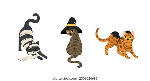 Flat cartoon set of cute cats in halloween costumes. Black cat in paper as mummy, grey tabby cat in witch hat, bengal rosette cat with bats wings. Vector halloween illustration.