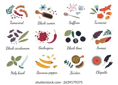 Flat cartoon set of exotic spices and herbs for cooking and seasoning. Culinary ingredients vector illustrations from different cultures, food preparation, kitchen use, traditional cuisine icons