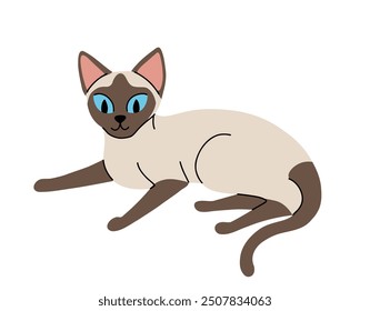 Flat cartoon set of siamese oriental cats in various poses isolated on white background. Vector collection of Cats sitting, standing, resting, playing.