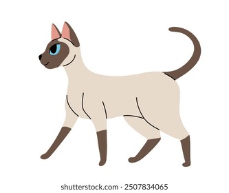 Flat cartoon set of siamese oriental cats in various poses isolated on white background. Vector collection of Cats sitting, standing, resting, playing.