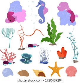 Flat cartoon style elements isolated on white background. Underwater life.