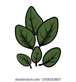 Flat Cartoon Style Spinach Plant Vector illustration