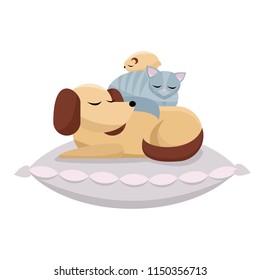 Flat cartoon vector illustration cat and hamster sleeps comfortably on dog. Sweet dreams of furry friends. Cute best friends sleeping dog, cat, hamster on pink pillow on white background