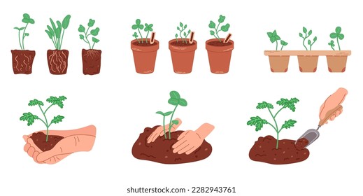 Flat cartoon vector illustration set of organic plant seedling. Seedlings growing in pots isolated on white background. Planting tree in the ground with human hands. Home gardening. 