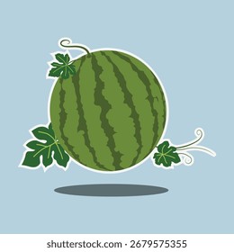 Ilustración vectorial plana de dibujos animados de fruta de sandía con hojas sobre fondo azul