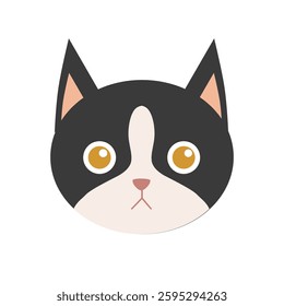 flat cat breed avatar, cute feline face icon, domestic pet cat vector illustration, colorful round kitty portrait, variety of cat breeds in modern minimalistic cartoon style