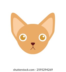 flat cat breed avatar, cute feline face icon, domestic pet cat vector illustration, colorful round kitty portrait, variety of cat breeds in modern minimalistic cartoon style