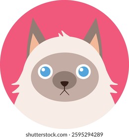 flat cat breed avatar, cute feline face icon, domestic pet cat vector illustration, colorful round kitty portrait, variety of cat breeds in modern minimalistic cartoon style