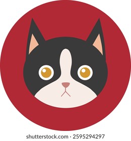 flat cat breed avatar, cute feline face icon, domestic pet cat vector illustration, colorful round kitty portrait, variety of cat breeds in modern minimalistic cartoon style