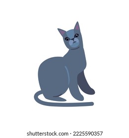 flat cat design over white