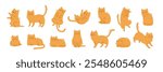 Flat cat poses set. Cartoon kitten poses collection. Different vector cat poses bundle.