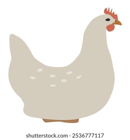 Ilustração de frango plano. Clipart vetor de galinha. Fazendo aves domésticas.