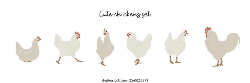 Flat chickens set illustration. Vector cliparts of domestic birds. Farming