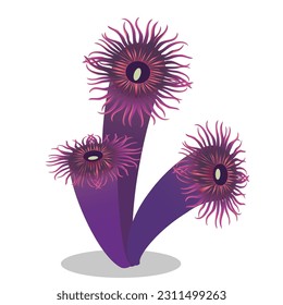 Flat in childish, cartoon style image of a coral polyp