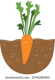 Ilustración vectorial infantil plana de zanahoria en el jardín sobre fondo blanco