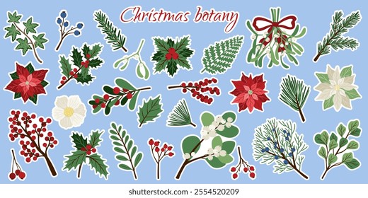 Flat Christmas plants sticker set. Winter botanical elements fir branches, holly, mistletoe, poinsettia. Vector illustration for design holiday decor, decoration new year, Christmas greeting card