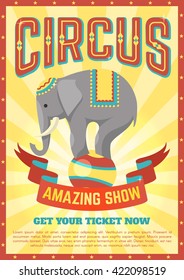 Flat circus poster with description of elephant performances and ribbon with the inscription amazing show vector illustration