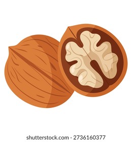 Flat clipart vector illustration of walnut ideal for healthy food design nutrition concepts organic grocery branding and natural ingredient themed projects