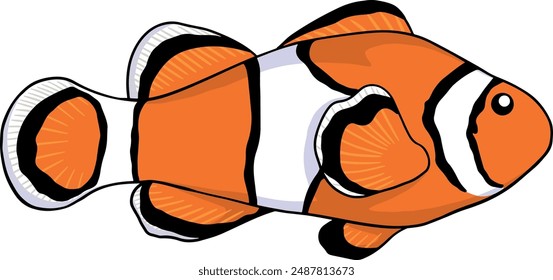 Flat Clown fish isolated on white background vector illustration for any design need.