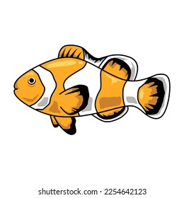 flat clown fish vector set isolated on white background. fish, clown, nemo, coral, reef, tropical, aquarium, pet, seafood, flat, orange, white, black, vector illustration.