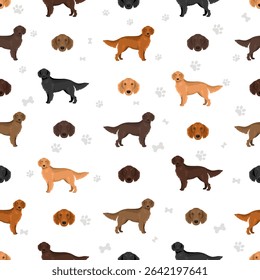 Flat coated retriever clipart. Different poses, coat colors set.  Vector illustration