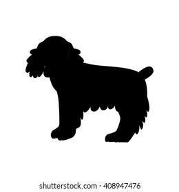 Flat cocker spaniel pet illustration. 