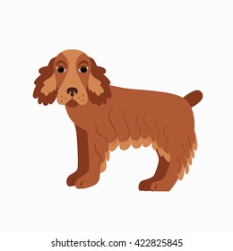 Flat cocker spaniel pet illustration. 