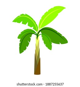 Flat color banana tree icon