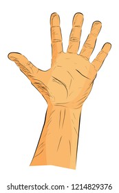flat color hand draw sketch Counting or Voting Hand, Five
