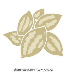 flat color illustration of almonds