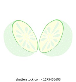 flat color illustration of half melon