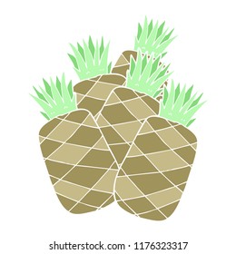 flache farbige Abbildung von Ananas